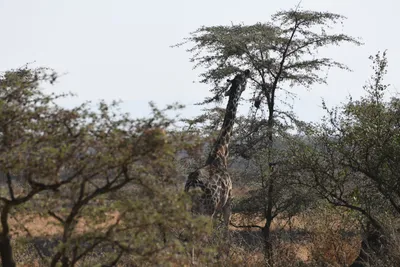 DSC_3428 (Large).JPG